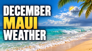 December Maui Weather by the Sea